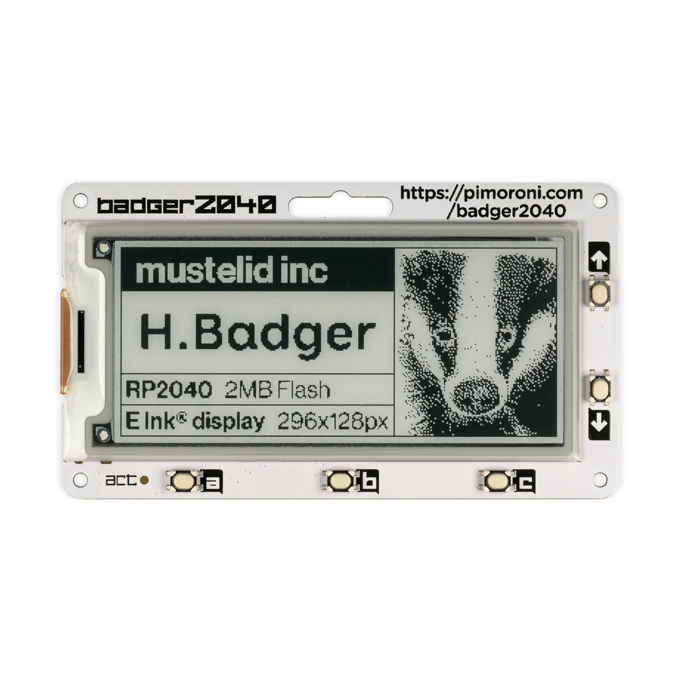 Badger 2040 - Image 2