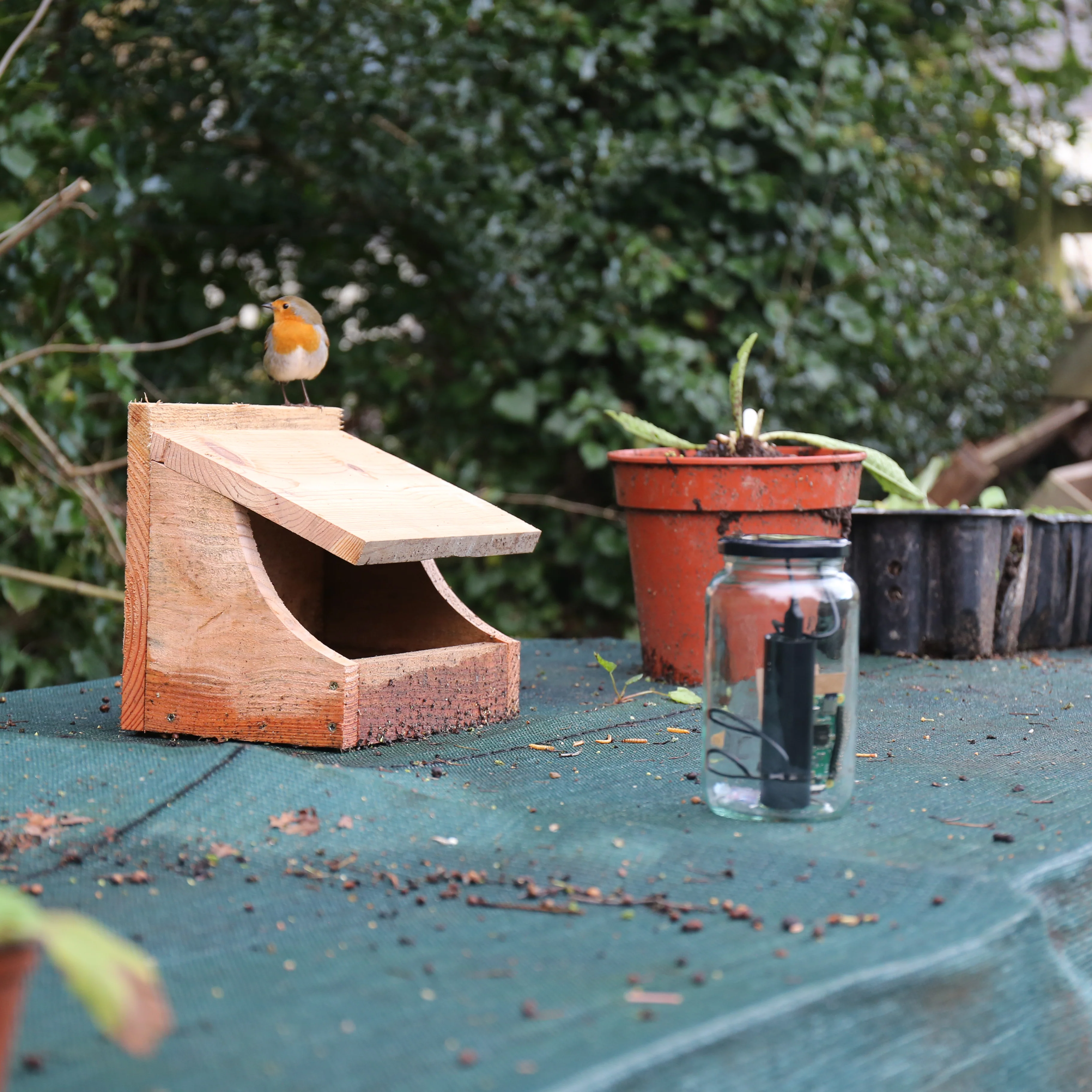 My Naturewatch Wildlife Camera - Image 4